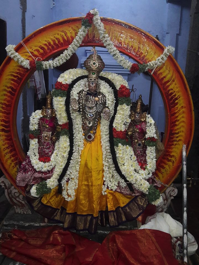 Koyambedu-Sri-Vaikundavasa-Perumal_04