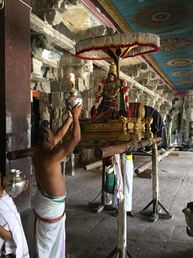 Mannargudi-Sri-Rajagopalaswami11