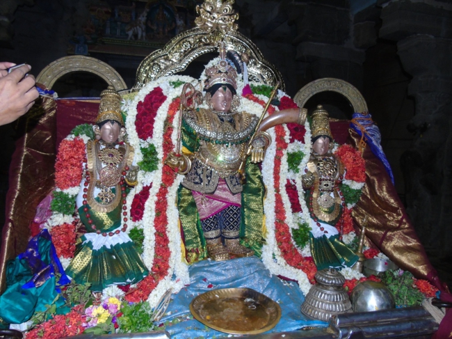 Mannargudi-Sri-Rajagopalaswamy_17