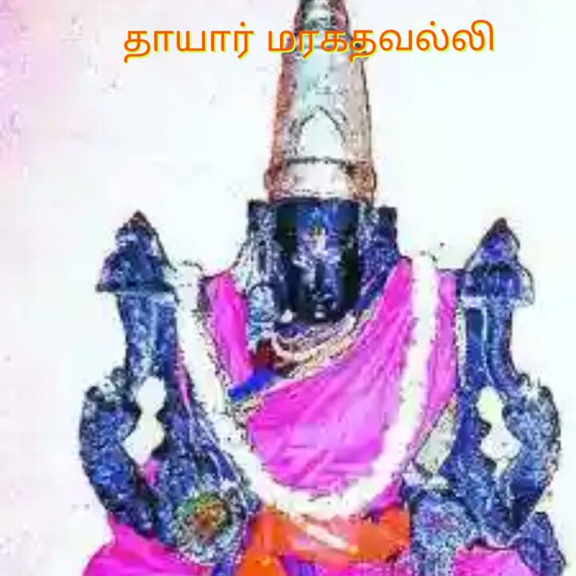 Narasingapuram-Sri-Lakshmi-Narasimha-Perumal_02