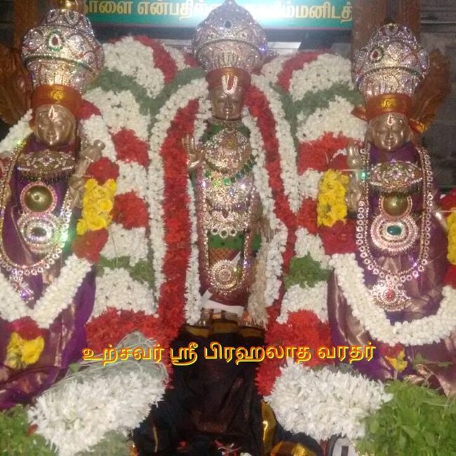 Narasingapuram-Sri-Lakshmi-Narasimha-Perumal_03