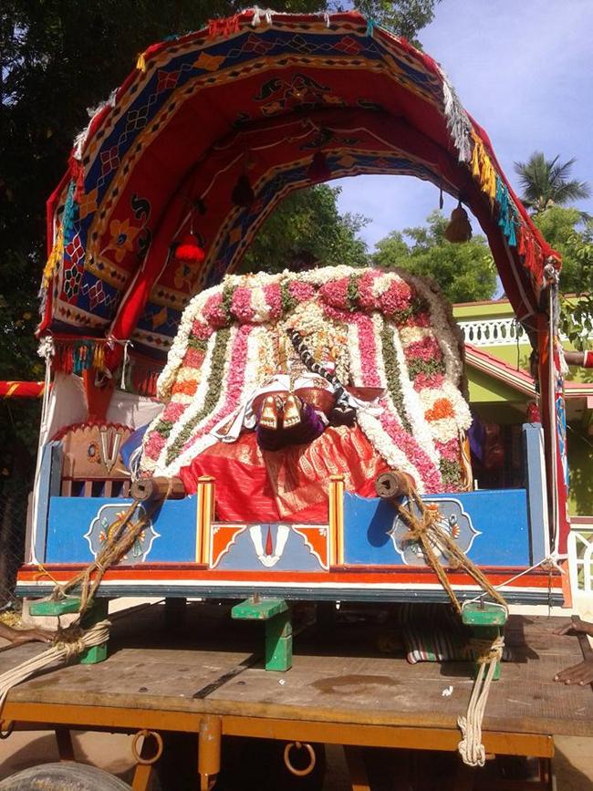 Sirupuliyur-Sri-Krupasamudra-Perumal10