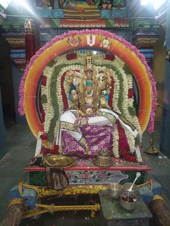 Sirupuliyur-Sri-Krupasamudra-Perumal11