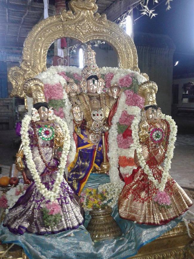Sirupuliyur-Sri-Krupasamudra-Perumal14