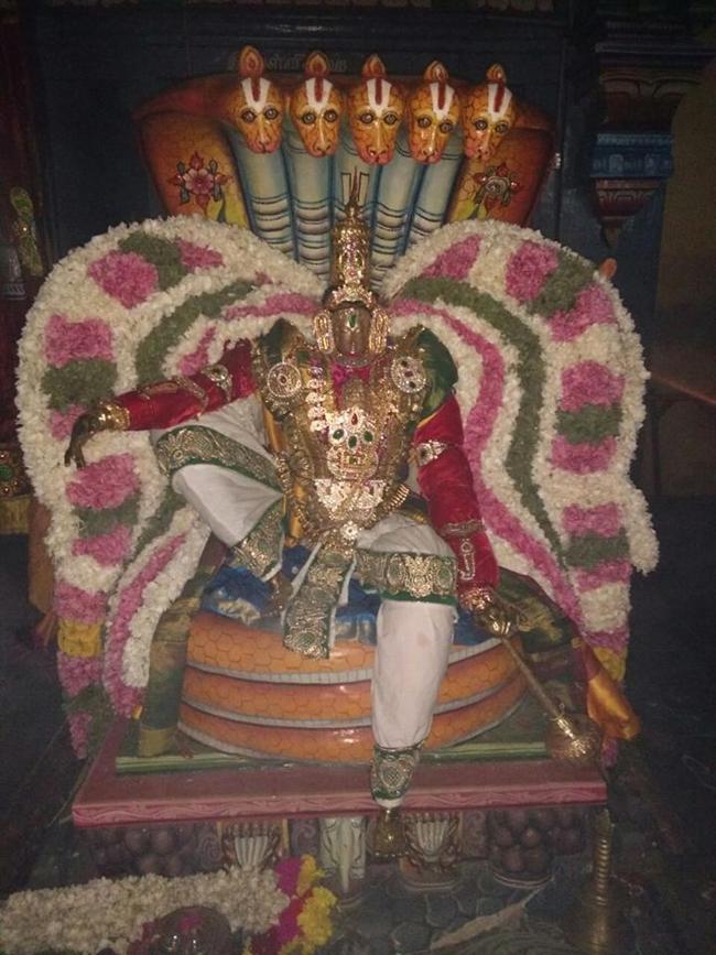 Sirupuliyur-Sri-Krupasamudra-Perumal15