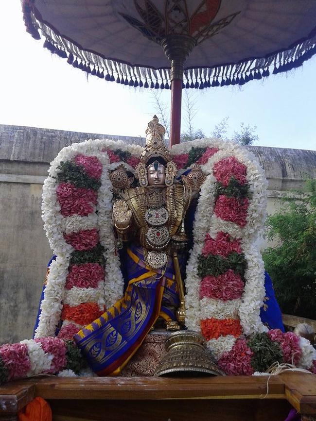 Sirupuliyur-Sri-Krupasamudra-Perumal16