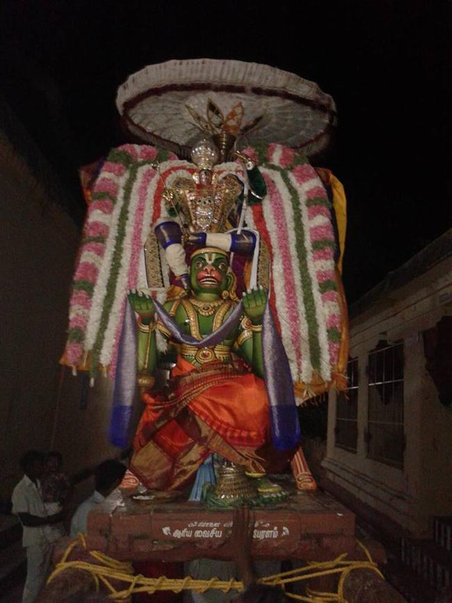 Sirupuliyur-Sri-Krupasamudra-Perumal3