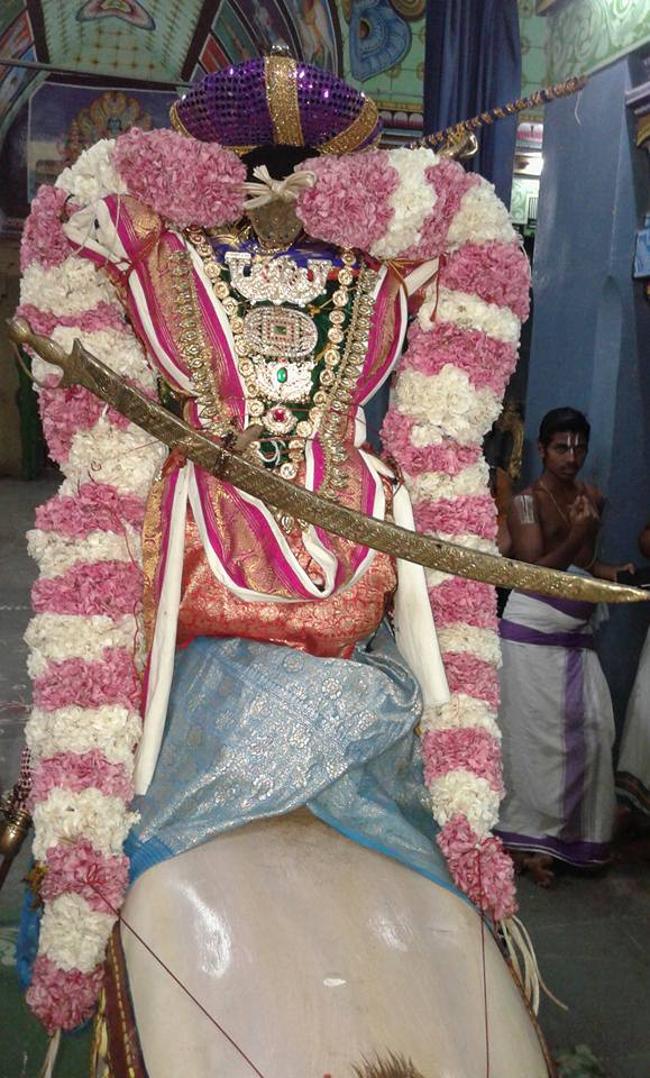 Sirupuliyur-Sri-Krupasamudra-Perumal3
