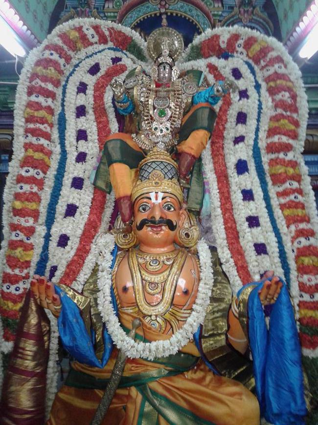 Sirupuliyur-Sri-Krupasamudra-Perumal5