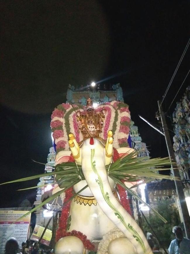 Sirupuliyur-Sri-Krupasamudra-Perumal6