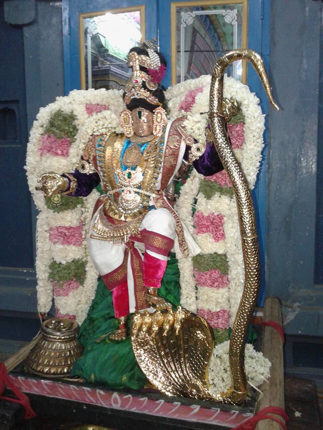 Sirupuliyur-Sri-Krupasamudra-Perumal9