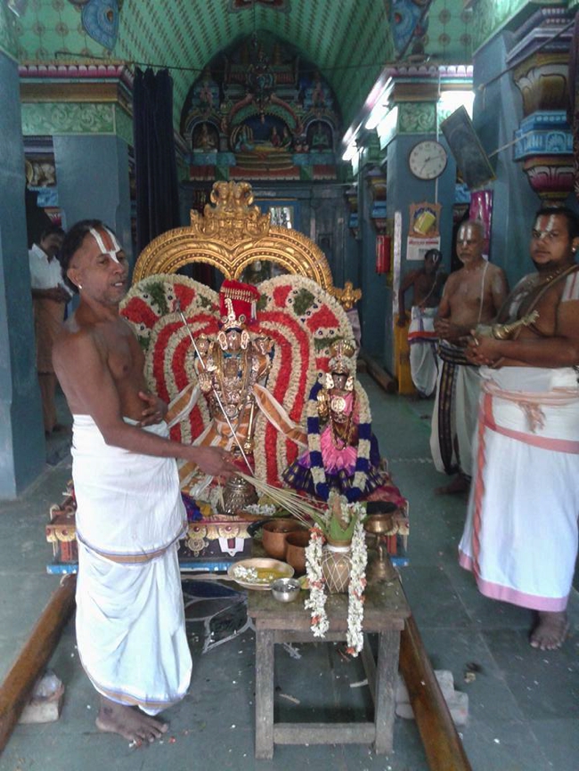 Sirupuliyur-Sri-Krupasamudra-Perumal_00