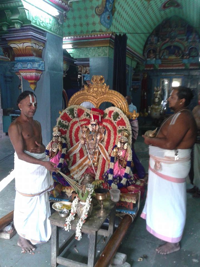 Sirupuliyur-Sri-Krupasamudra-Perumal_11