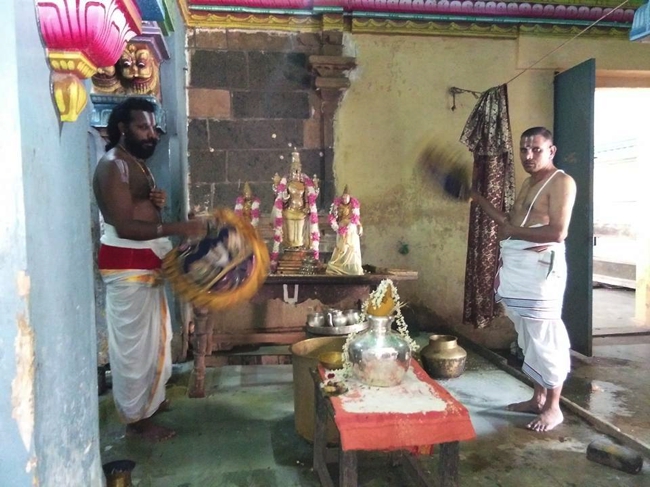 Sirupuliyur-Sri-Krupasamudra-Perumal_12