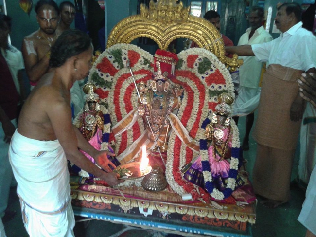 Sirupuliyur-Sri-Krupasamudra-Perumal_13