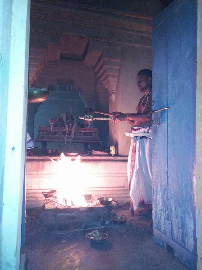Sirupuliyur-Sri-Krupasamudra-Perumal_24