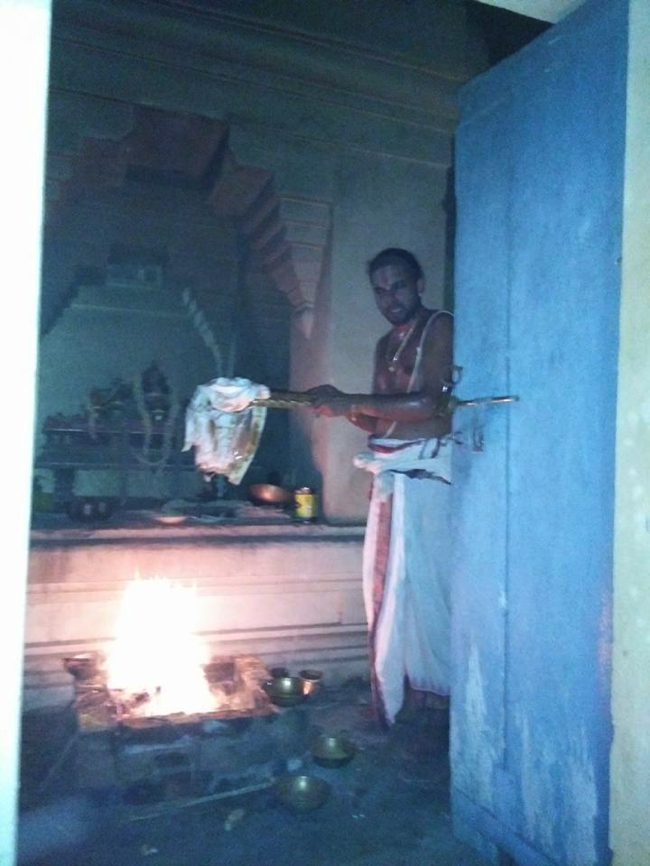 Sirupuliyur-Sri-Krupasamudra-Perumal_29