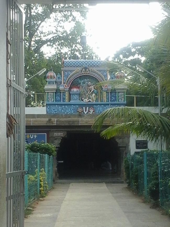 Srivilliputhur-Sri-Vadapathrasayanar2
