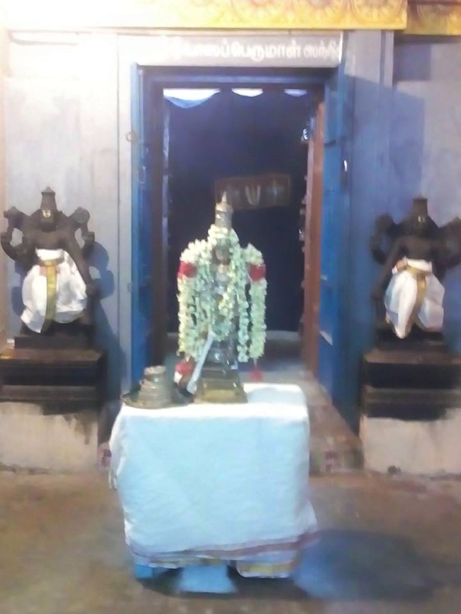 Thillaisthanam-Sri-Srinivasa-Perumal_01