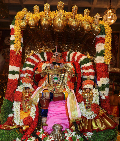 Thiruchanoor-Sri-Sundara-Raja-Swamy2