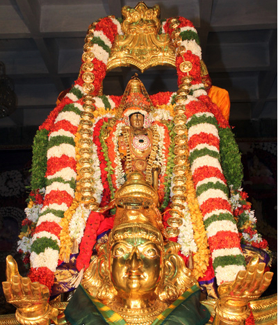 Thiruchanoor-Sri-Sundara-Raja-Swamy2
