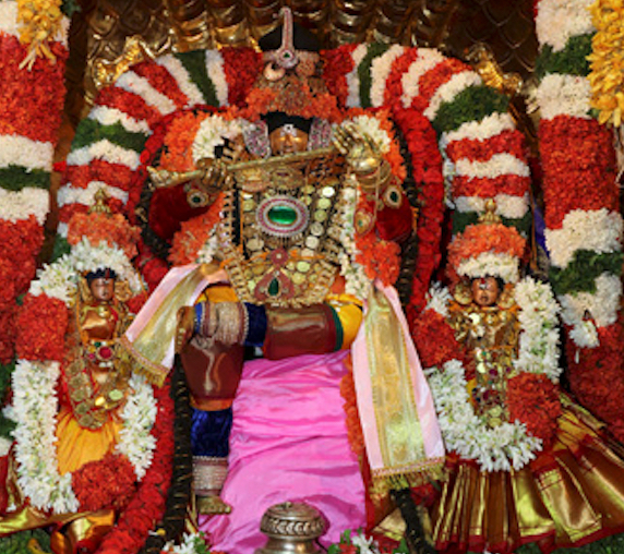 Thiruchanoor-Sri-Sundara-Raja-Swamy3
