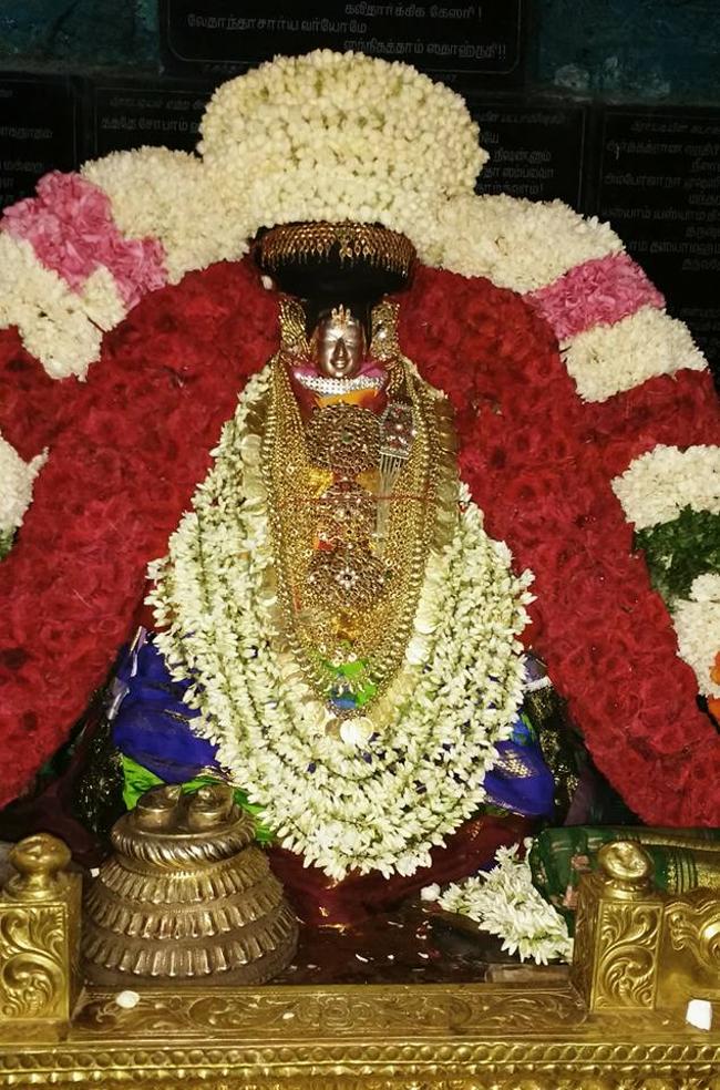 Thiruvahindrapuram-Sri-Devanathan-Perumal3