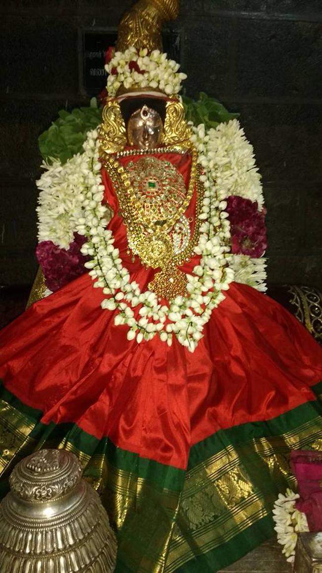 Thiruvahindrapuram-Sri-Devanathan-Perumal4