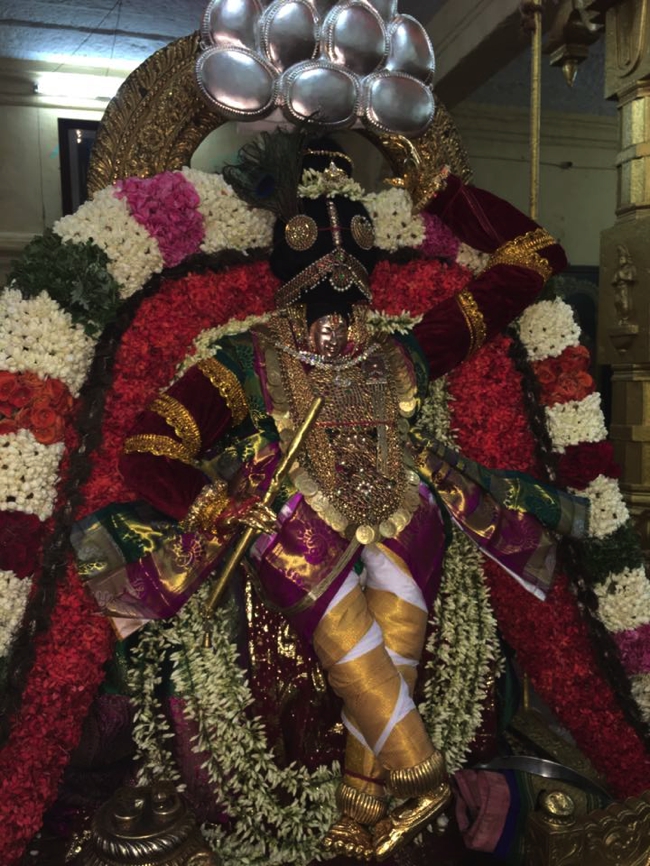 Thiruvahindrapuram-Sri-Devanathan-Perumal_03
