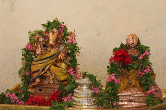 Thiruvahindrapuram-Sri-Devanathan-Perumal_10