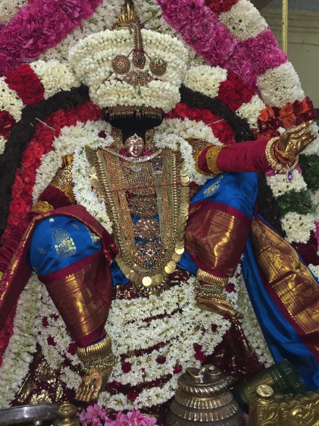 Thiruvahindrapuram-Sri-Devanathan-Perumal_12