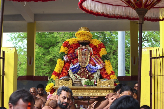 Thiruvahindrapuram-Sri-Devanathan-Perumal_25