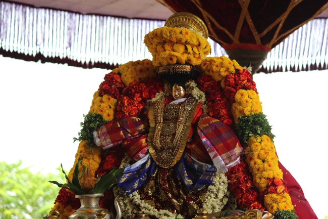 Thiruvahindrapuram-Sri-Devanathan-Perumal_27