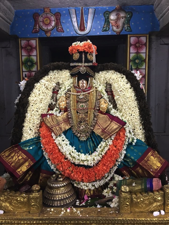 Thiruvahindrapuram-sri-Devanathan-Perumal_08