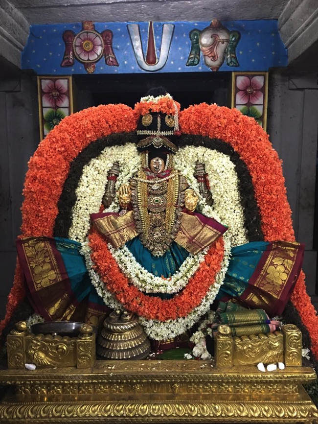 Thiruvahindrapuram-sri-Devanathan-Perumal_09
