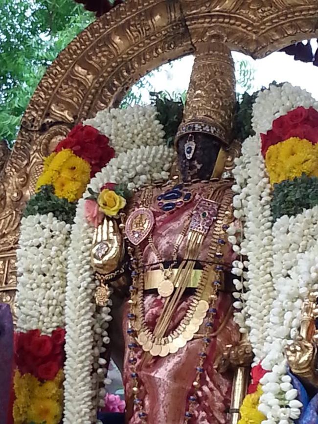 Thiruvallikeni-Sri-Parthasarathy-Swami10