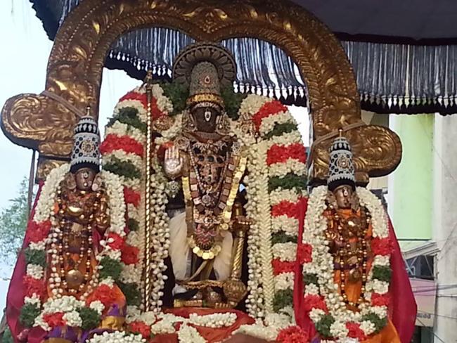 Thiruvallikeni-Sri-Parthasarathy-Swami1