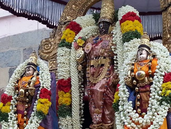 Thiruvallikeni-Sri-Parthasarathy-Swami12
