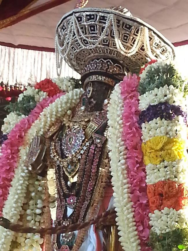 Thiruvallikeni-Sri-Parthasarathy-Swami13