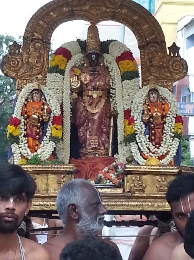 Thiruvallikeni-Sri-Parthasarathy-Swami18