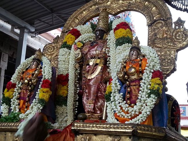 Thiruvallikeni-Sri-Parthasarathy-Swami20