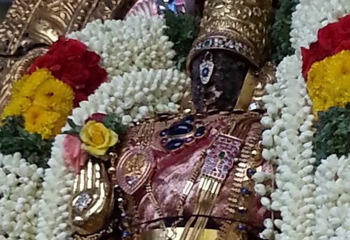 Thiruvallikeni-Sri-Parthasarathy-Swami22