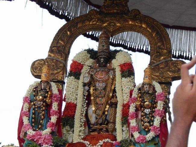 Thiruvallikeni-Sri-Parthasarathy-Swami