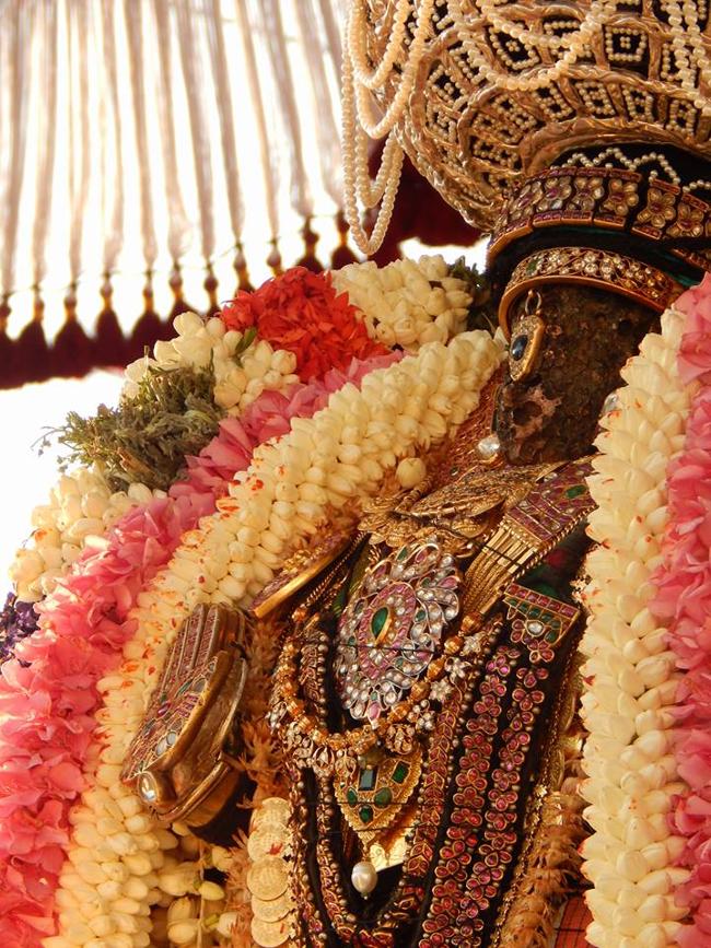 Thiruvallikeni-Sri-Parthasarathy-Swami24