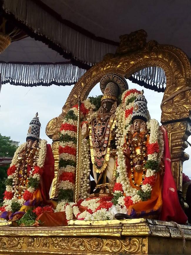 Thiruvallikeni-Sri-Parthasarathy-Swami2