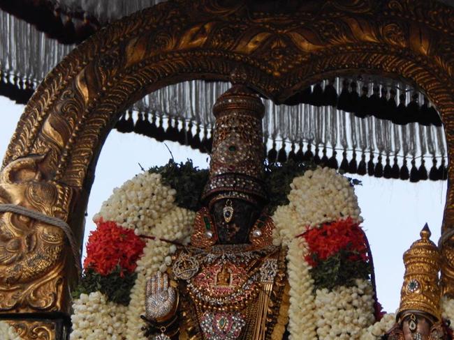Thiruvallikeni-Sri-Parthasarathy-Swami3