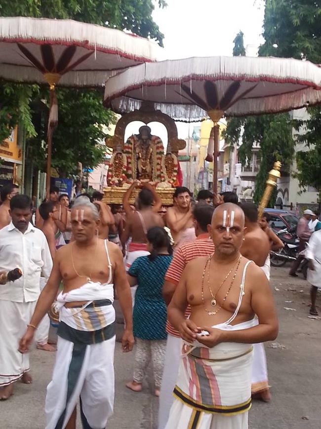 Thiruvallikeni-Sri-Parthasarathy-Swami5