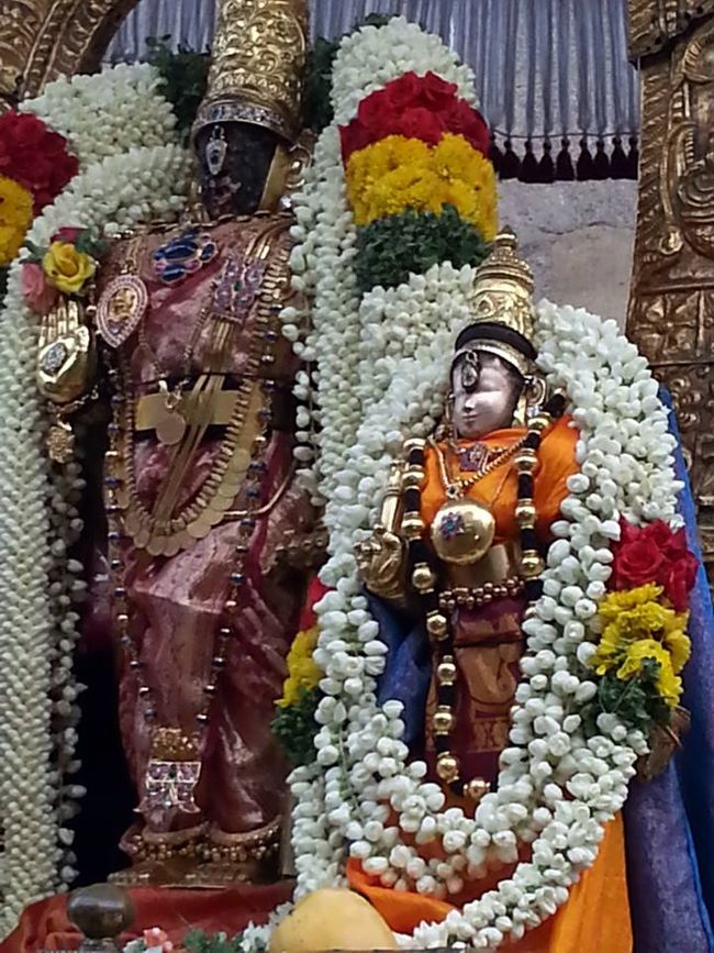 Thiruvallikeni-Sri-Parthasarathy-Swami7
