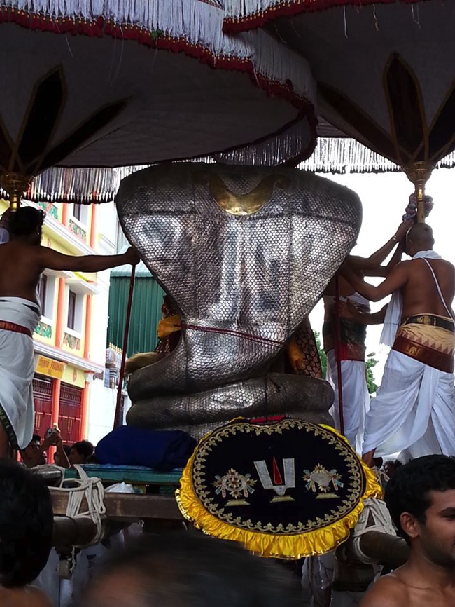 Thiruvallikeni-Sri-Parthasarathy-Swami_02