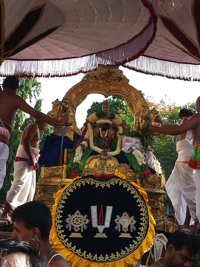 Thiruvallikeni-Sri-Parthasarathy-Swami_04